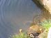 DSCF0059